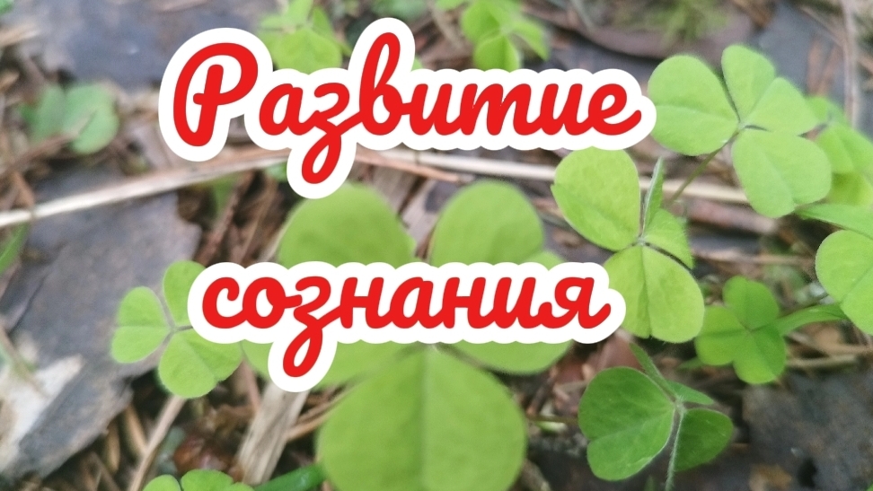 Развитие сознания