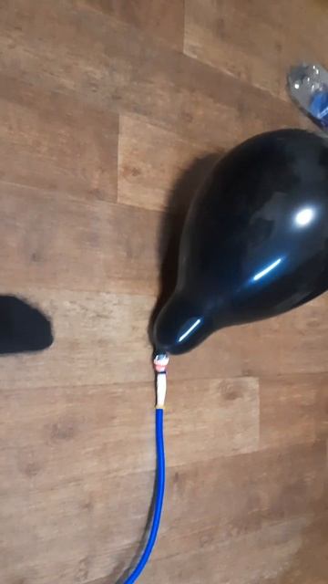 мексика шары для авито latex cccidental