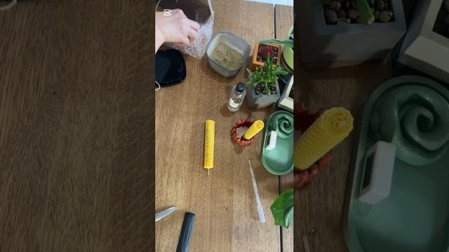 video5242695887636951104