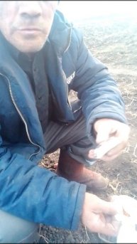 ест на поле