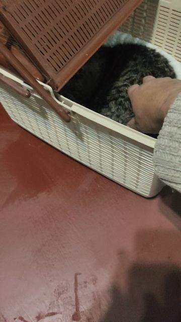Ганс пока в своем домике...