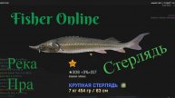 Fisher Online Река Пра стерлядь
