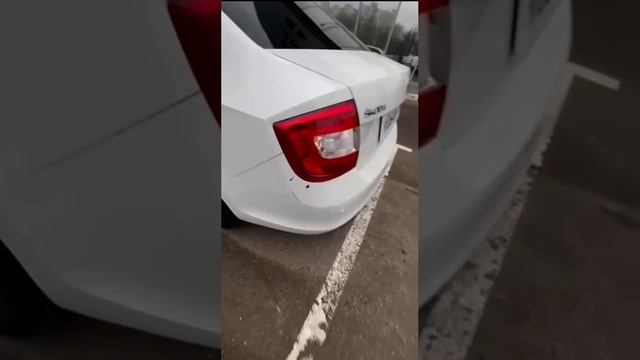 1000050969.mp4