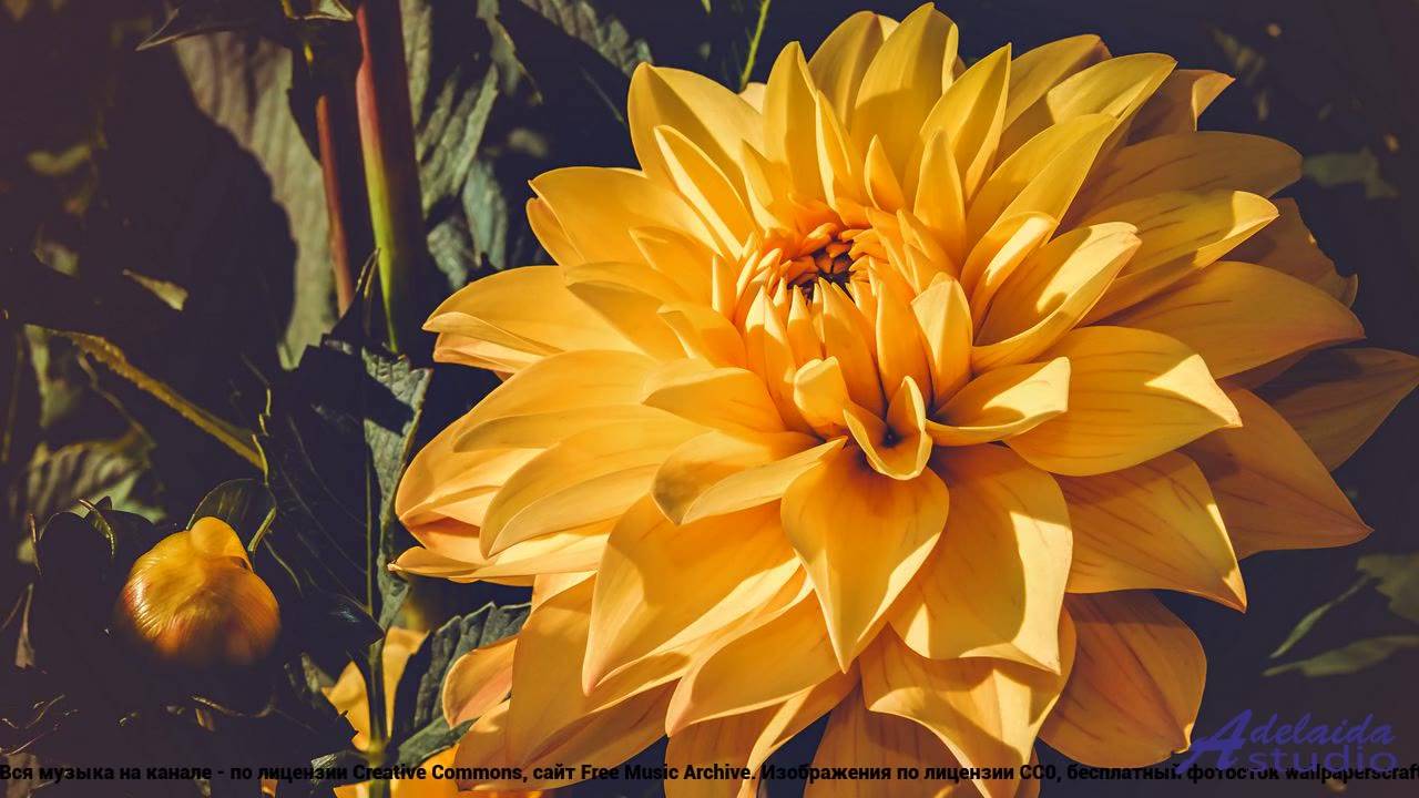 ❤ ❤ ❤ Ритм, от которого закипает кровь - Dark Forest -- HoliznaCC0 -- Retro Gamer Soundtrack!.mp4