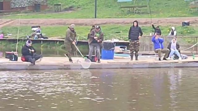 Поимка Форели.СЗ