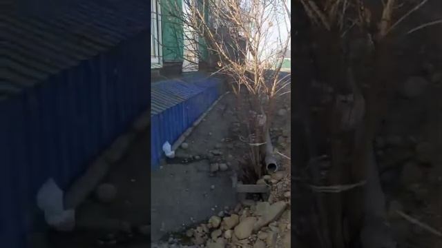 Дорожные проблемы Тайтурки