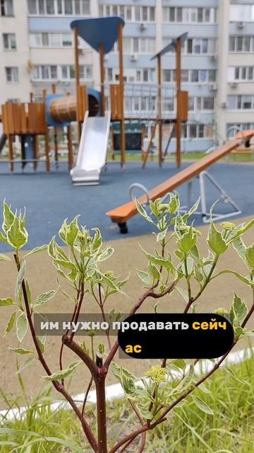 Цены на квартиры: правда, которую не расскажет реклама