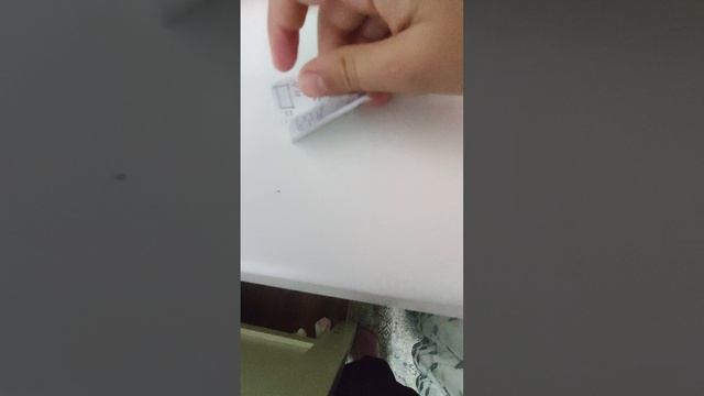 обзор комнаты Барсика