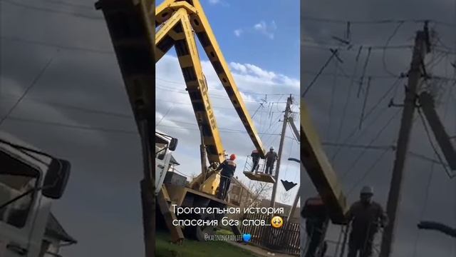 Аист по -человечески оплакивал своë гнездо. Люди решили ему  помочь.