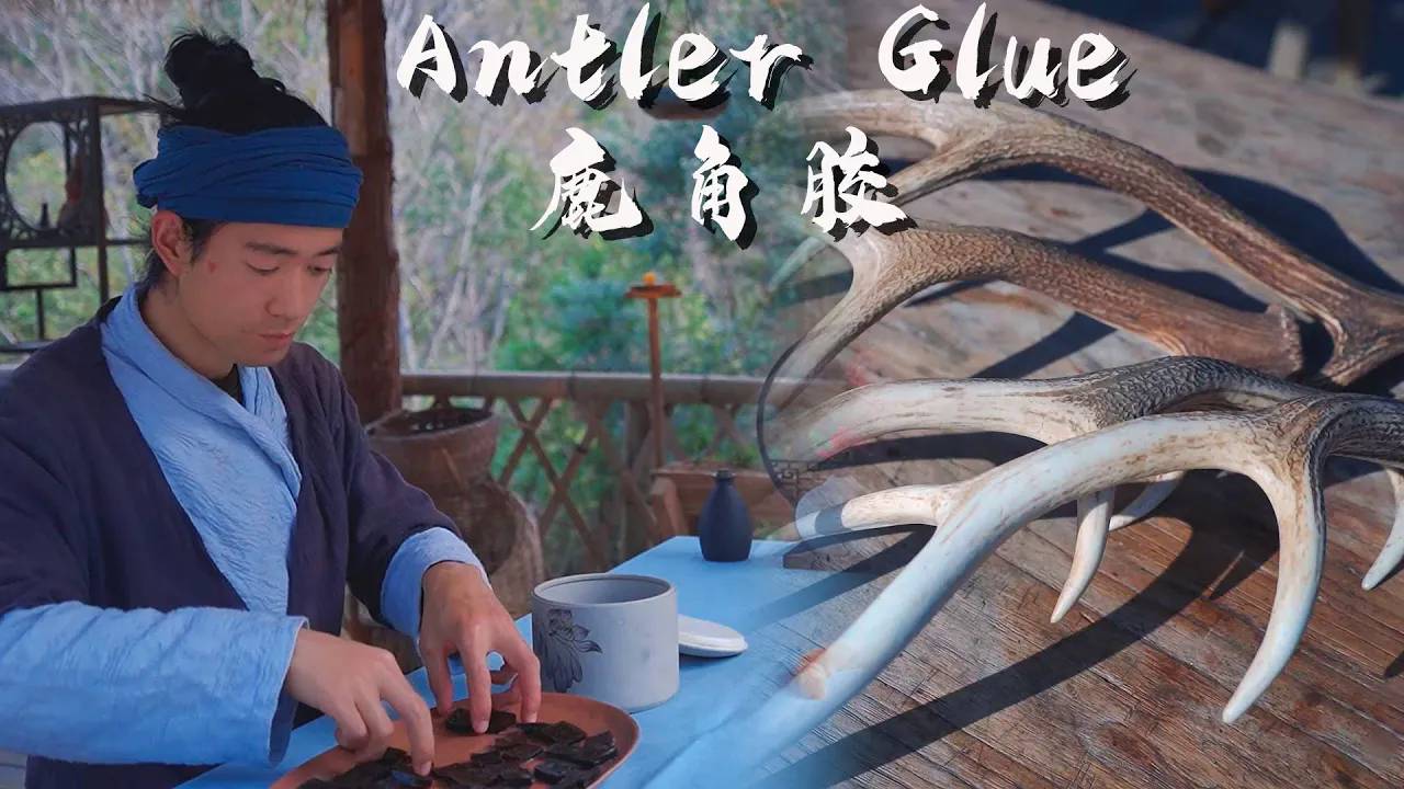 Make Ancient Antler Glue and Antler Cream with Sika Antlers
