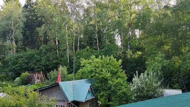 Обзор с дачной крыши 23.06.23