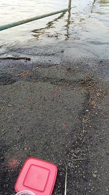 Крючки подвели