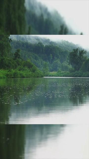 Тайна, которая создала нас: как жизнь вырвалась из хаоса и завоевала Землю