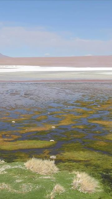 Уют Природы Расслабляющая Музыка для Дзен