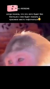 🌸 Розовый Kodak M35 — артикул WB 41016046