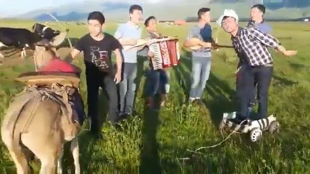 Жайлоо Жыттанган Кыргыз Ырлары. Жакшы Эле Көрөм Өзүңдү.