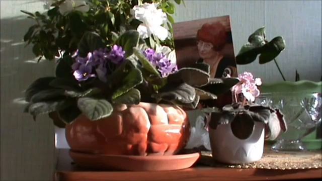 VID_20241224_202645о женщинах