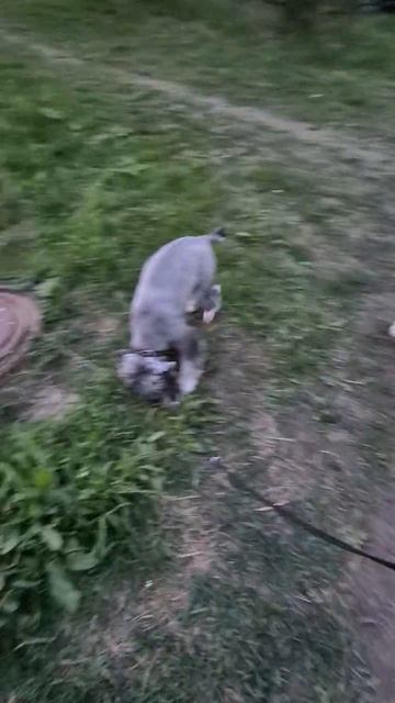 1000073144.mp4
