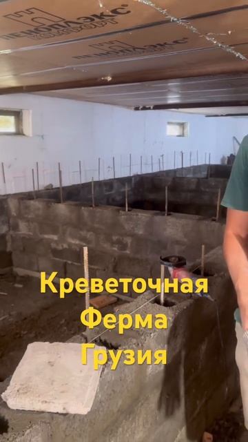Креветочная ферма Грузия #бизнес #проект #стройка #бас?