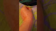 VID_20250503_053411