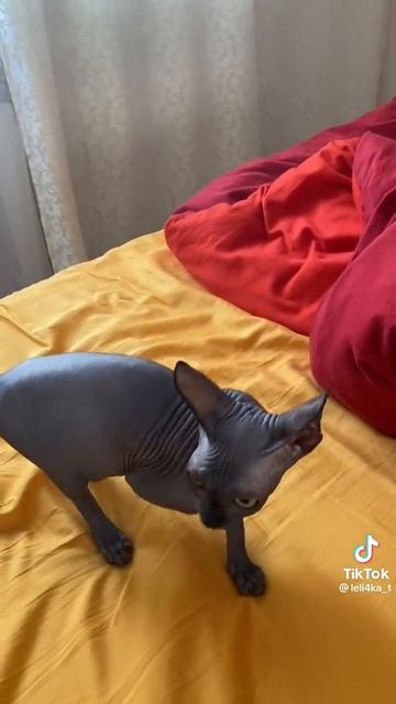 до слез🤣🤣😍😍🤣🤣 ржака