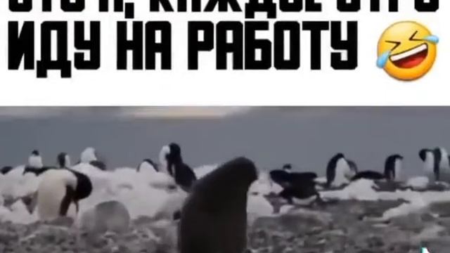 я не хочу на работу