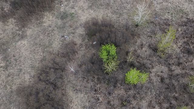 DJI_20250502102911_0005_D