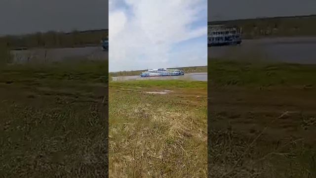 КРУИЗНЫЙ ЛАЙНЕР ПРОШЕЛ ПЕНЬКИ В СТОРОНУ ПОЛЯН