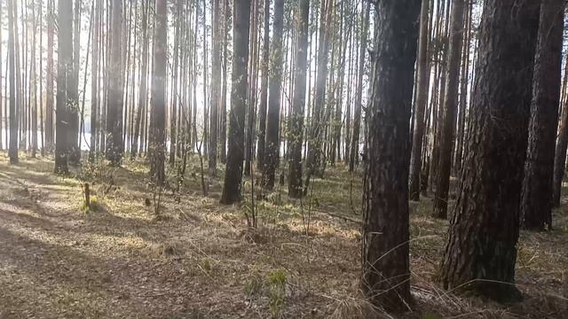 прогулка