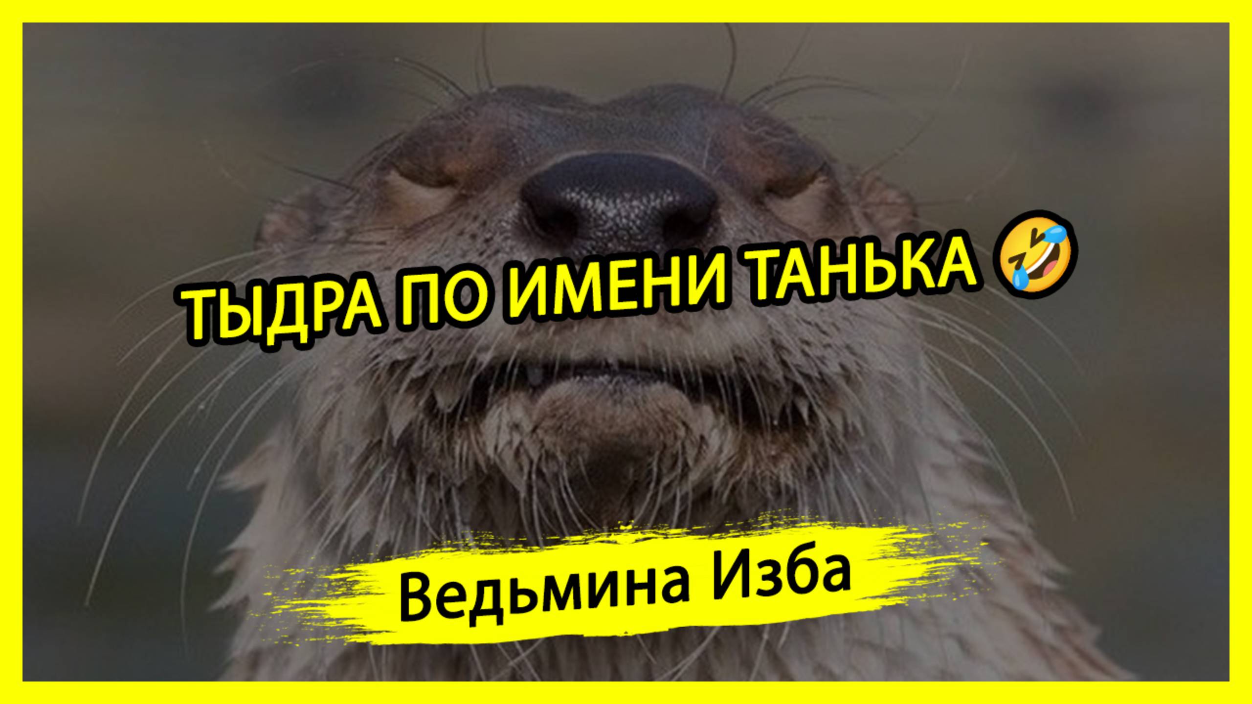 ТЫДРА ПО ИМЕНИ ТАНЬКА 🤣. #ВЕДЬМИНАИЗБА ▶️ #МАГИЯ