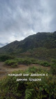 #HRсНуля #УправлениеПерсоналом #КарьераHR #HRдляНачинающих #ОбучениеHR