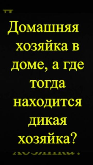 Мозгоправ самоубился. Книга первая. Вопрос 26