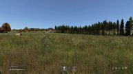 DAYZ