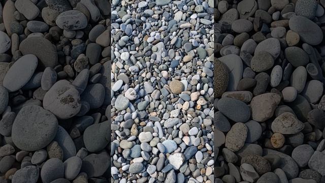 С ДОБРЫМ УТРЕЧКОМ. НА МОРЕ