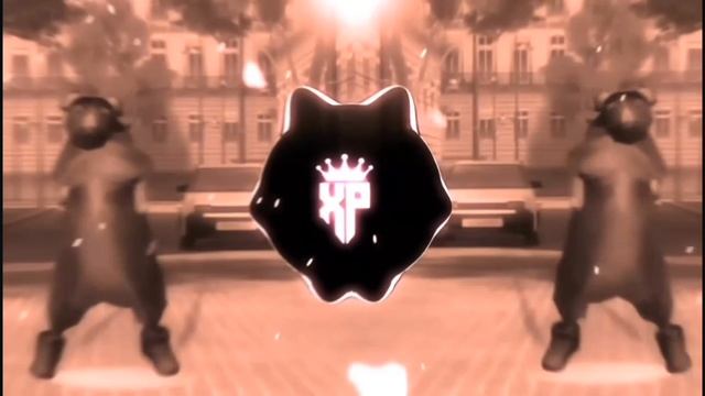 крыса танцует 3