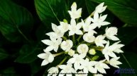 ✸ ♫ ❤ Клип, как из 3023 года - Melody (Short 2 Version) -- BoDleasons -- Legacy, Vol. 2.mp4