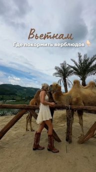 Далат. Парк: Mongo Land Dalat