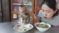 Обезьянка ест лапшу Подстанывает Суп с ложки Как ребенок Добрая комедия