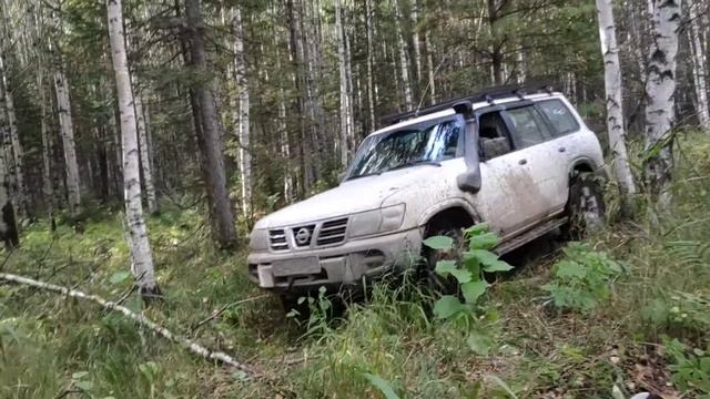 Патруль в лесу, поездка за грибами  VID_20230902_163842