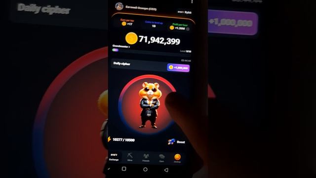 СЕКРЕТНЫЙ ШИФР В HAMSTER KOMBAT + КОМБО ДНЯ В ХОМЯКАХ