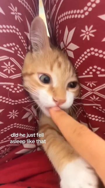 Помогите!😂