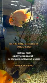 Вдохновение? Алгоритмы? Читкоды для развития блога в 2025