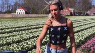 CELIÁ - SET XI - Tulips Netherlands - Melodic Techno Progressive House