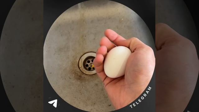 Челендж раздавить яйцо 🥚 рукой #армрестлинг #силарук #эспандеры #динаноматр #armяшка