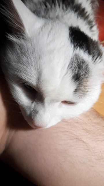 Некоторые видео дорогого стоят.