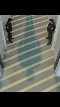 Кэлвин выходит из тюрьмы😂 #фильм #кино #shorts