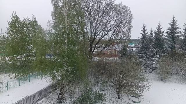 1000596694.mp4