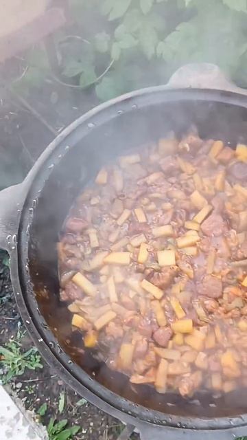 открытие сезона беседки)