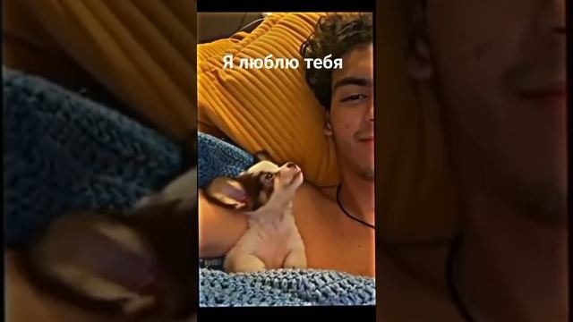 Я тебя люблю... 💖
