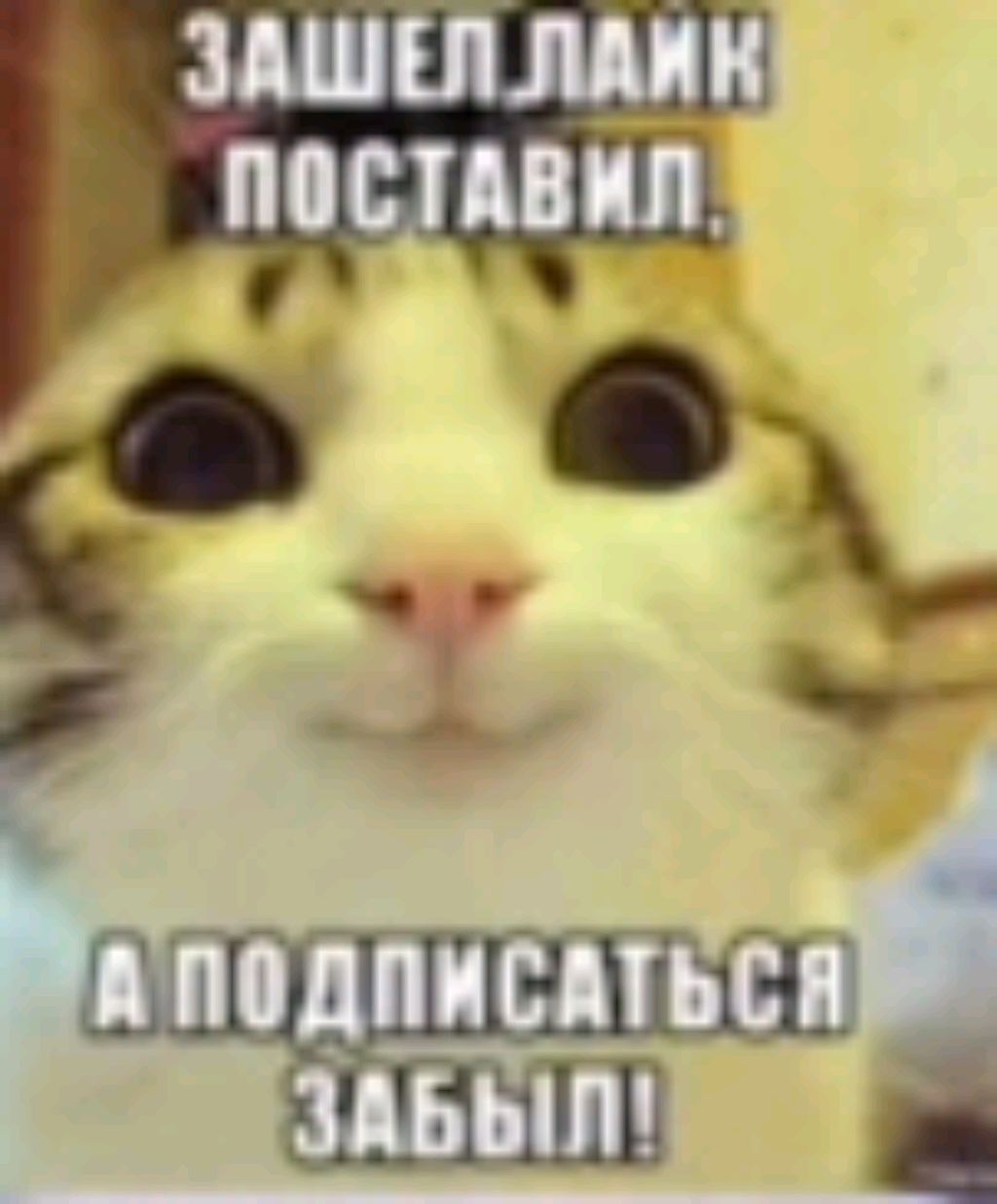 мои видео